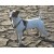 Avatar de PaulineGeraldCalvin